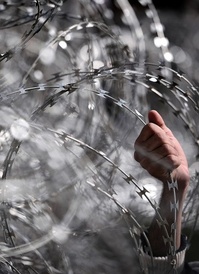 A refugee grabs onto the razor wire at the closed Greek – F.Y.R.O.M. border crossing, March 2016 Image: Louisa Gouliamaki