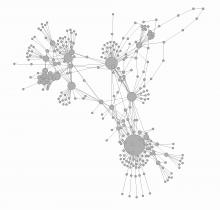 Human Smuggling: Structure and Mechanisms. Dr Paolo Campana
